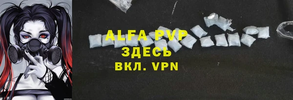 спиды Бородино