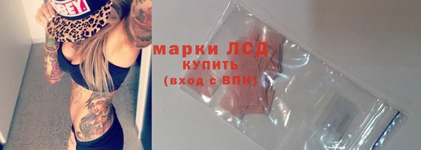 спиды Бородино