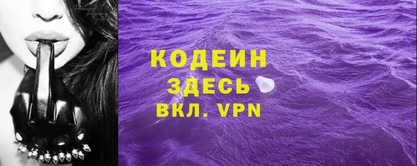 спиды Бородино