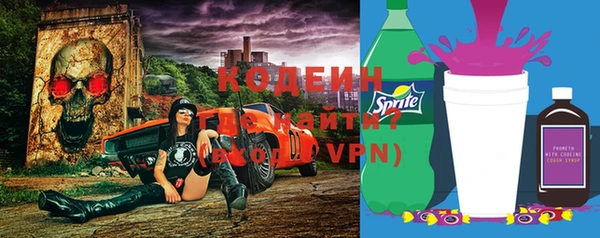 спиды Бородино
