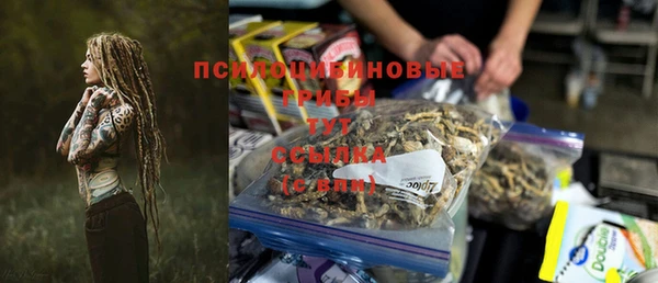 МДПВ Богородицк