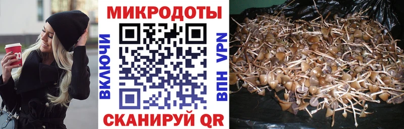 Галлюциногенные грибы Psilocybine cubensis  купить наркотики цена  OMG как зайти  Олёкминск 